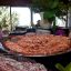 Gallura Beach Village Buffet 4